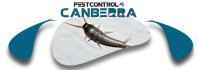 Silverfish Control Canberra image 3